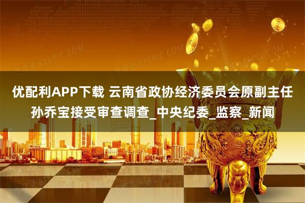 优配利APP下载 云南省政协经济委员会原副主任孙乔宝接受审查调查_中央纪委_监察_新闻