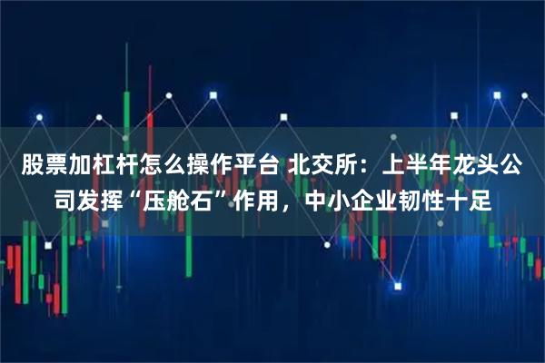 股票加杠杆怎么操作平台 北交所：上半年龙头公司发挥“压舱石”作用，中小企业韧性十足