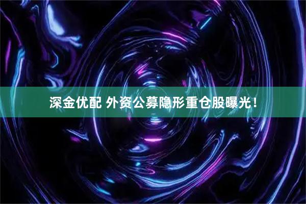 深金优配 外资公募隐形重仓股曝光!