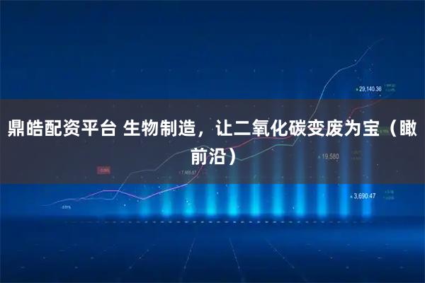 鼎皓配资平台 生物制造，让二氧化碳变废为宝（瞰前沿）