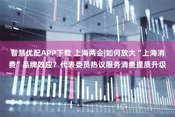 智慧优配APP下载 上海两会|如何放大“上海消费”品牌效应？代表委员热议服务消费提质升级